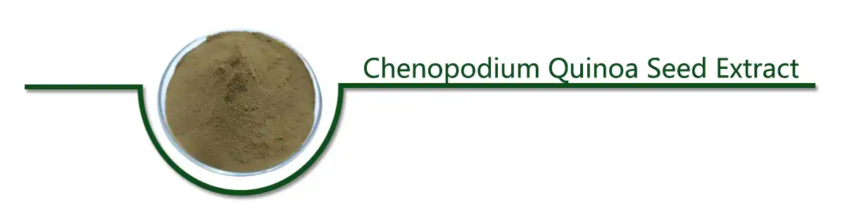 Chenopodium Quinoa Seed .jpg